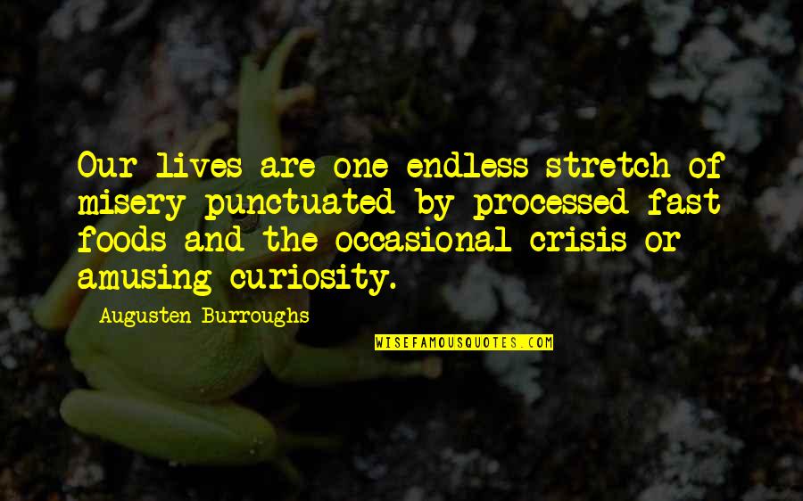 Punctuated Quotes By Augusten Burroughs: Our lives are one endless stretch of misery