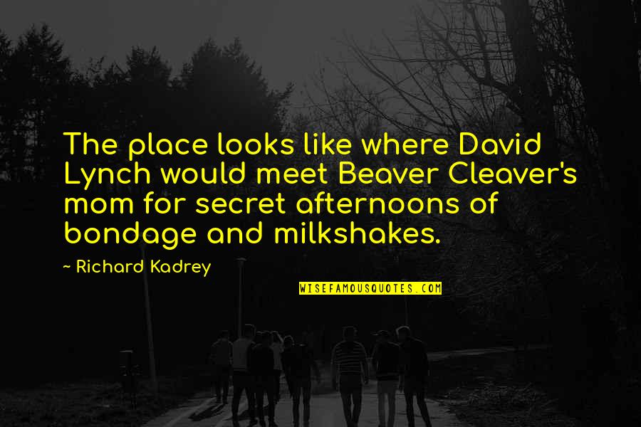 Pungitore Landscape Quotes By Richard Kadrey: The place looks like where David Lynch would Pungitore Landscape Quotes By Richard Kadrey: The place looks like where David Lynch would
