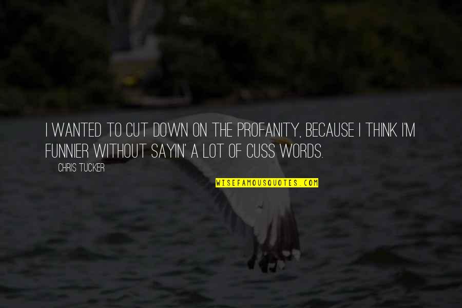 Punir Passe Quotes By Chris Tucker: I wanted to cut down on the profanity,