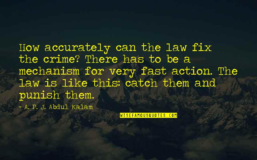 Punish Them Quotes By A. P. J. Abdul Kalam: How accurately can the law fix the crime?
