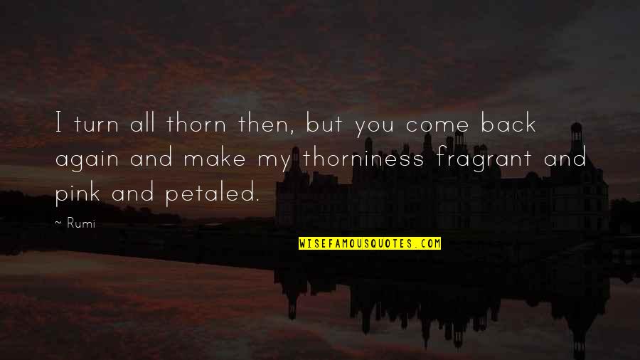 Punishing Myself Quotes By Rumi: I turn all thorn then, but you come