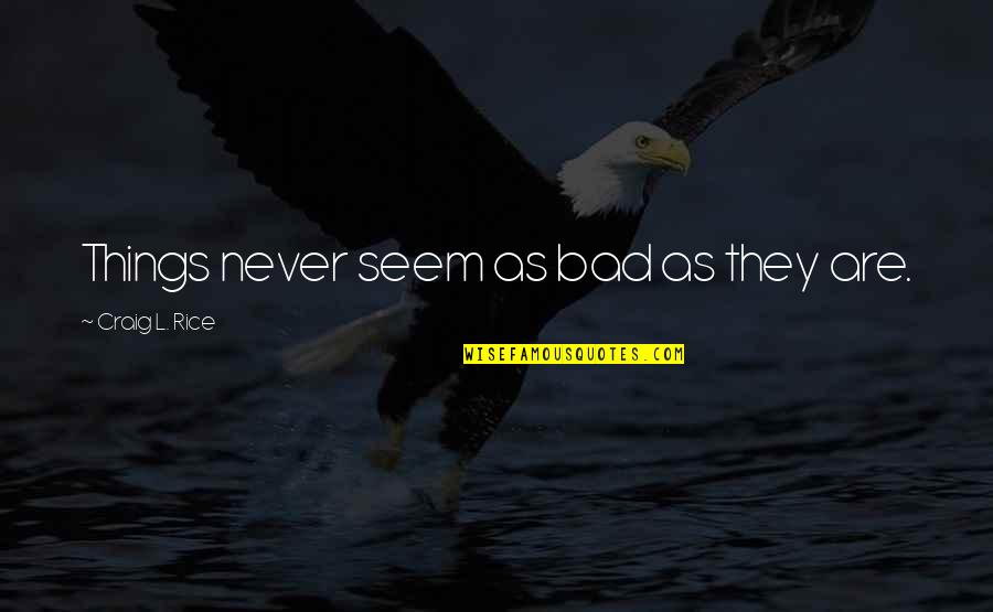 Punitive Quotes By Craig L. Rice: Things never seem as bad as they are.