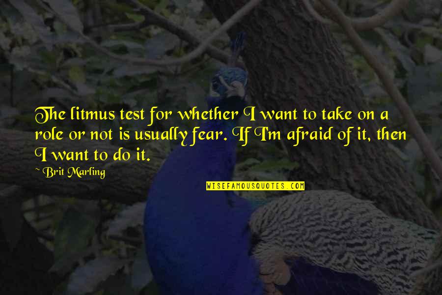 Punitons Quotes By Brit Marling: The litmus test for whether I want to Punitons Quotes By Brit Marling: The litmus test for whether I want to