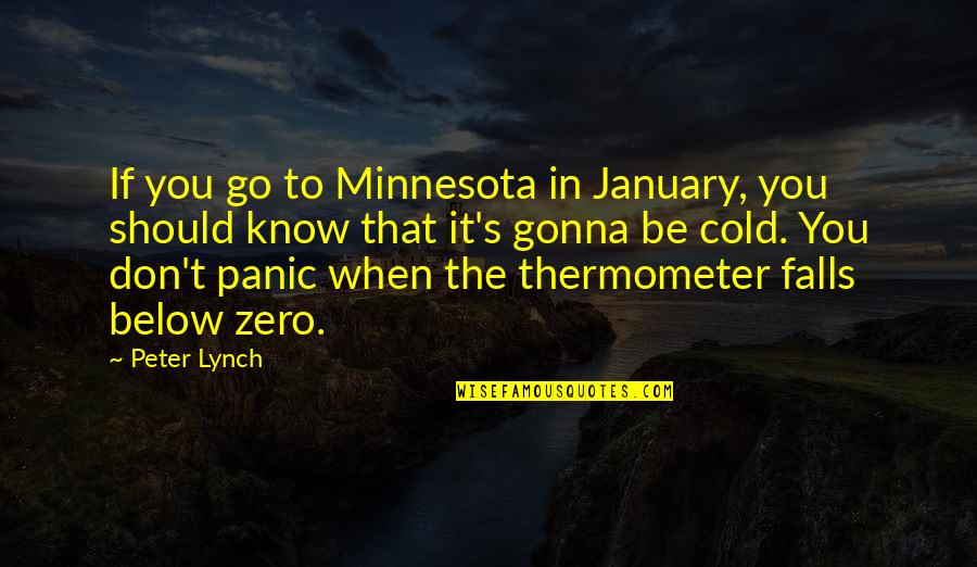 Punitorio Quotes By Peter Lynch: If you go to Minnesota in January, you Punitorio Quotes By Peter Lynch: If you go to Minnesota in January, you