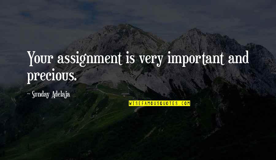 Punitorios Quotes By Sunday Adelaja: Your assignment is very important and precious. Punitorios Quotes By Sunday Adelaja: Your assignment is very important and precious.
