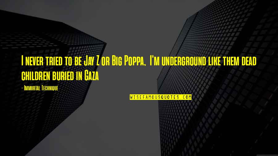 Punjabi Propose Quotes By Immortal Technique: I never tried to be Jay Z or Punjabi Propose Quotes By Immortal Technique: I never tried to be Jay Z or