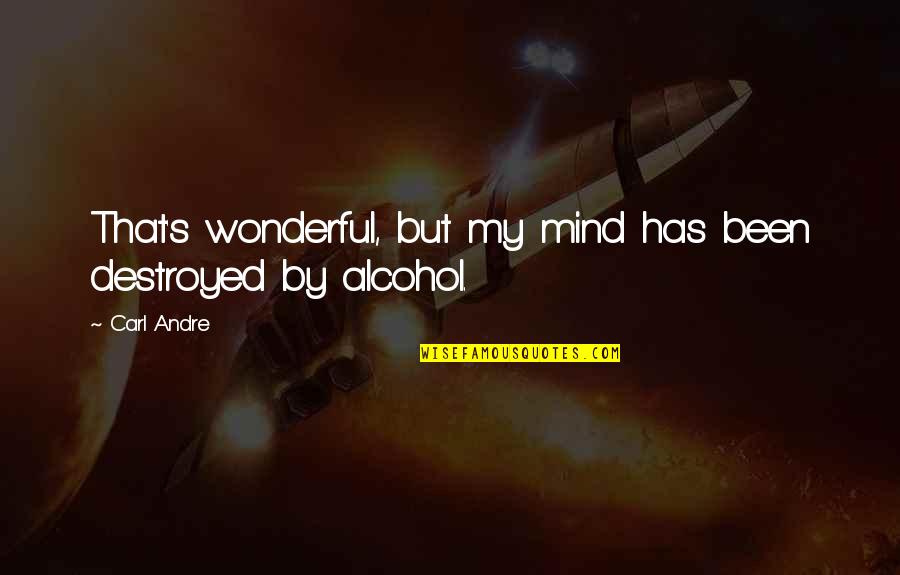 Punktwordtokenizer Quotes By Carl Andre: That's wonderful, but my mind has been destroyed