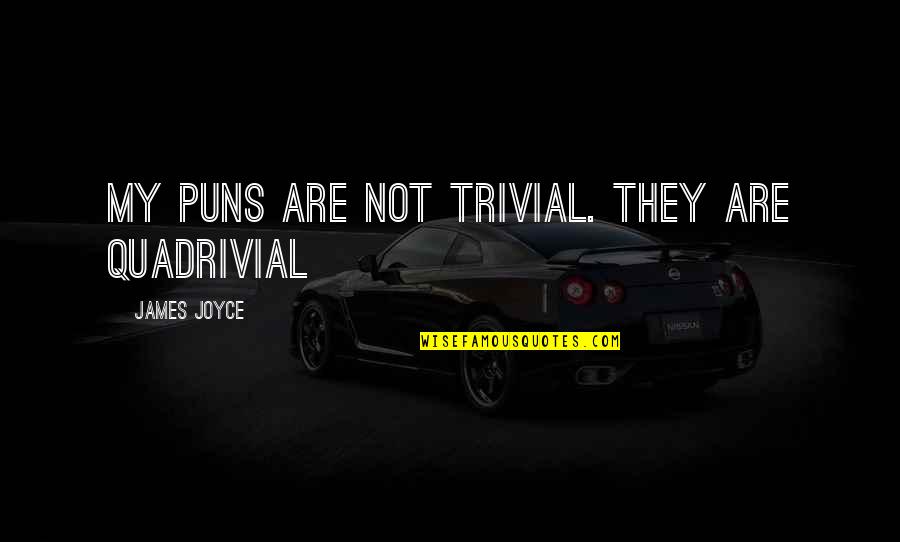 Puns Quotes By James Joyce: My puns are not trivial. They are quadrivial Puns Quotes By James Joyce: My puns are not trivial. They are quadrivial