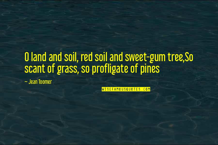 Puntiagudos Quotes By Jean Toomer: O land and soil, red soil and sweet-gum