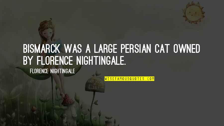 Pupilasset Quotes By Florence Nightingale: Bismarck was a large persian cat owned by Pupilasset Quotes By Florence Nightingale: Bismarck was a large persian cat owned by