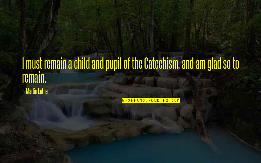 Pupils Quotes By Martin Luther: I must remain a child and pupil of