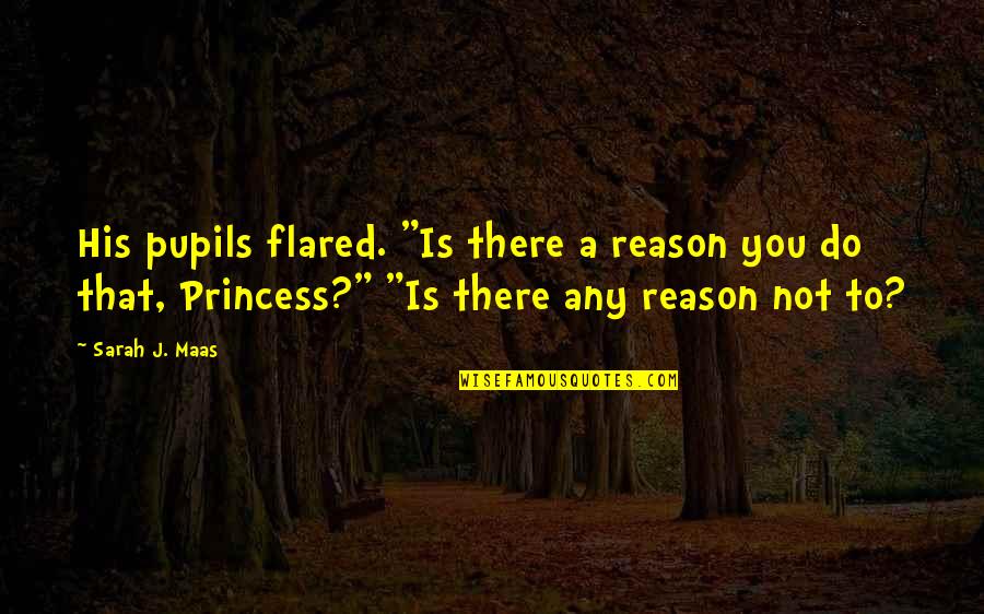 Pupils Quotes By Sarah J. Maas: His pupils flared. "Is there a reason you