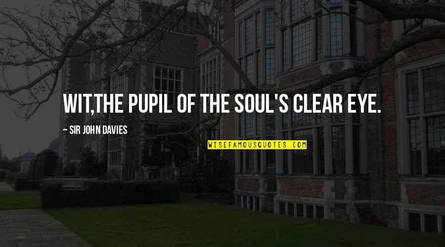 Pupils Quotes By Sir John Davies: Wit,the pupil of the soul's clear eye.