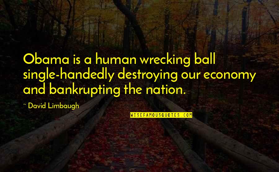 Puppeteer Quotes By David Limbaugh: Obama is a human wrecking ball single-handedly destroying