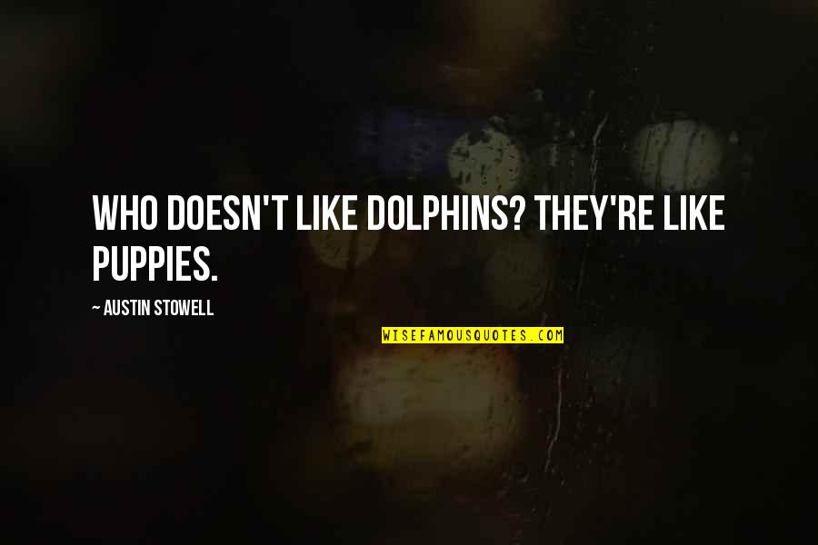 Puppies Quotes By Austin Stowell: Who doesn't like dolphins? They're like puppies.
