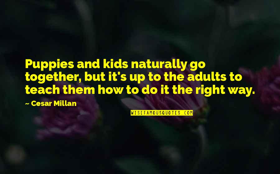 Puppies Quotes By Cesar Millan: Puppies and kids naturally go together, but it's