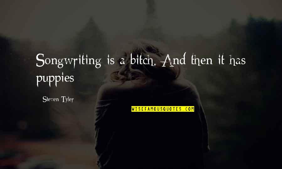 Puppies Quotes By Steven Tyler: Songwriting is a bitch. And then it has