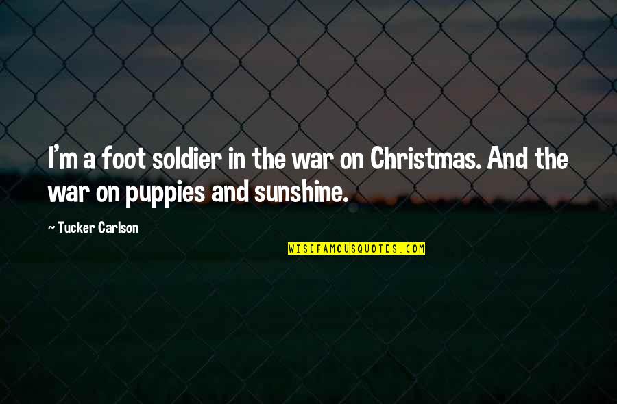 Puppies Quotes By Tucker Carlson: I'm a foot soldier in the war on