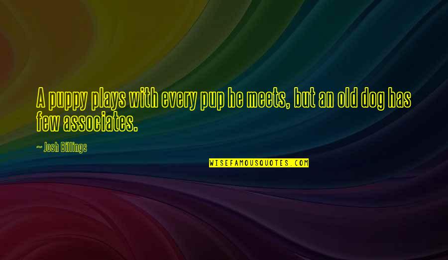 Puppy Dog Quotes By Josh Billings: A puppy plays with every pup he meets,