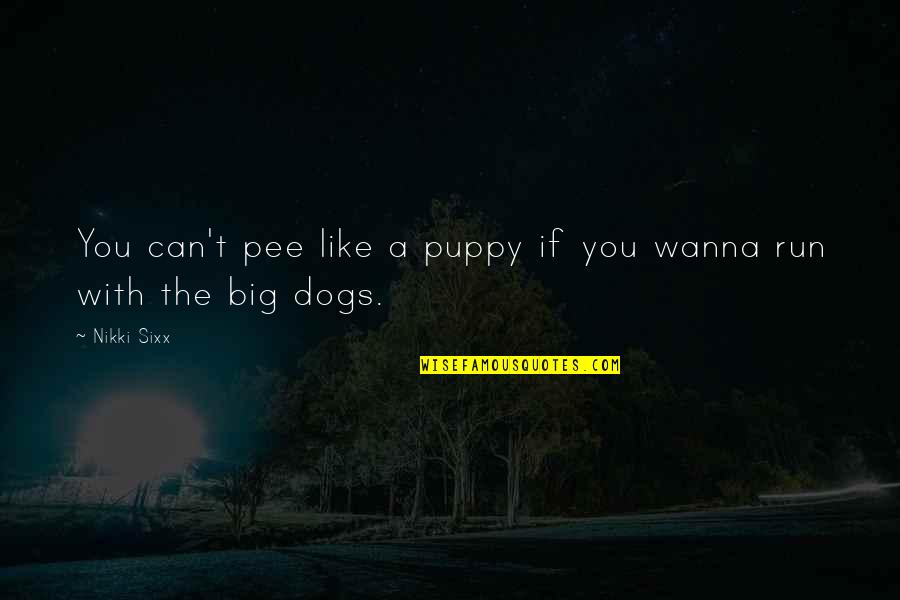 Puppy Dogs Quotes By Nikki Sixx: You can't pee like a puppy if you