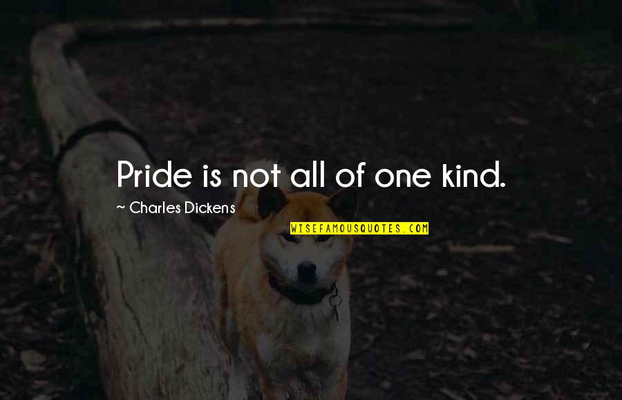 Puppy Love Poems Quotes By Charles Dickens: Pride is not all of one kind.