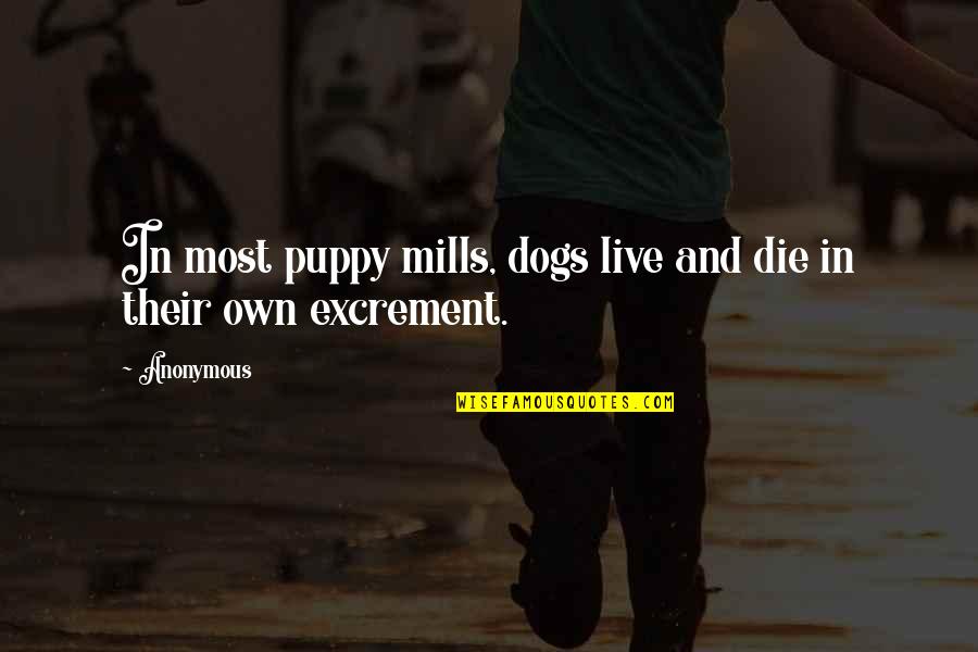 Puppy Mills Quotes By Anonymous: In most puppy mills, dogs live and die