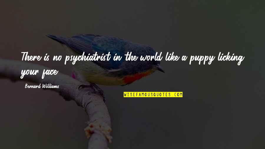 Puppy Quotes By Bernard Williams: There is no psychiatrist in the world like