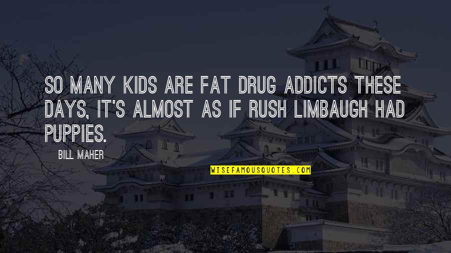 Puppy Quotes By Bill Maher: So many kids are fat drug addicts these