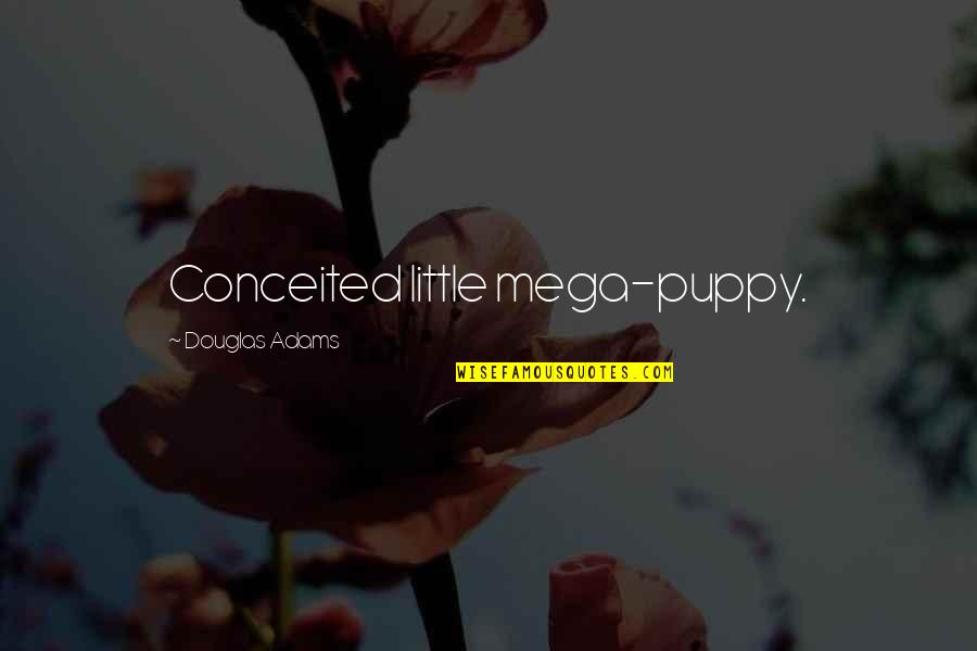 Puppy Quotes By Douglas Adams: Conceited little mega-puppy.