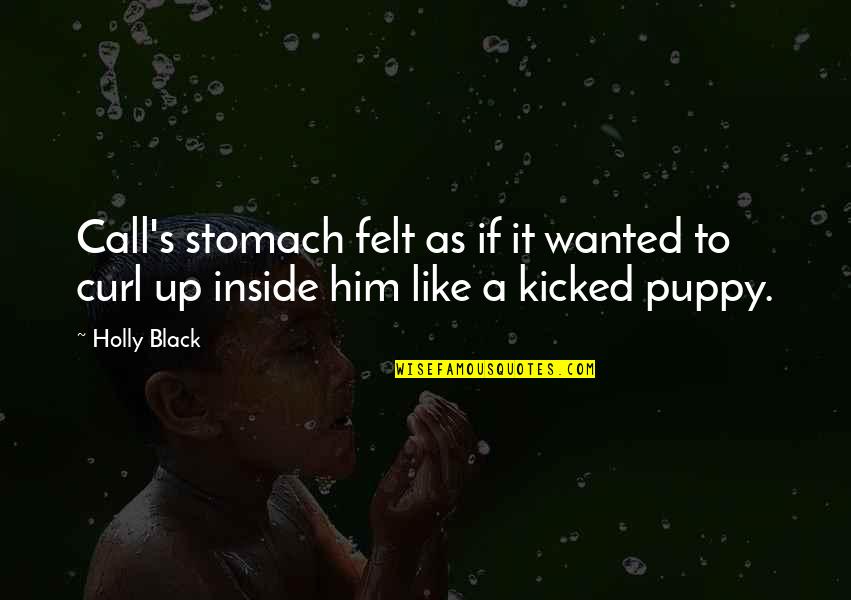 Puppy Quotes By Holly Black: Call's stomach felt as if it wanted to