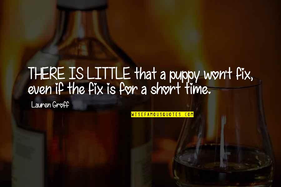 Puppy Quotes By Lauren Groff: THERE IS LITTLE that a puppy won't fix,