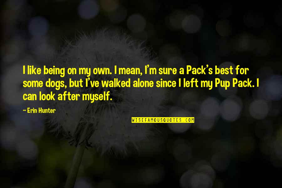 Pup's Quotes By Erin Hunter: I like being on my own. I mean, Pup's Quotes By Erin Hunter: I like being on my own. I mean,