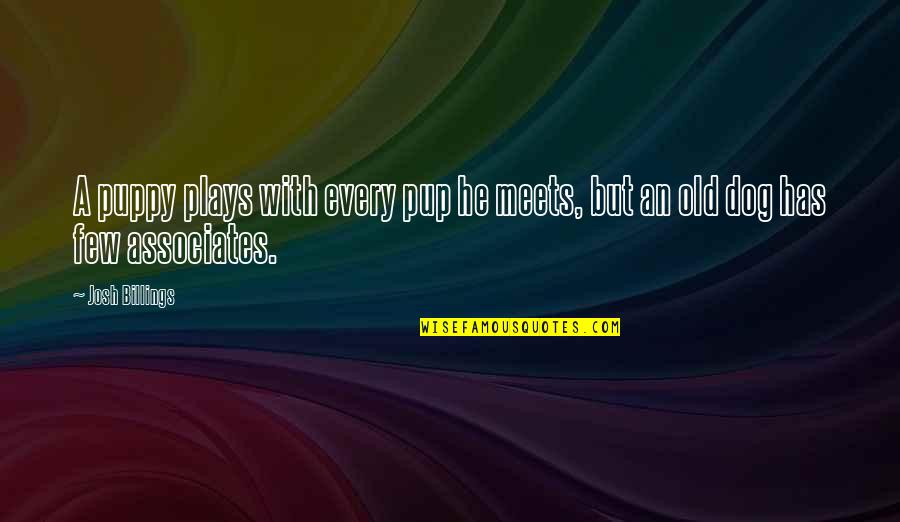 Pup's Quotes By Josh Billings: A puppy plays with every pup he meets,