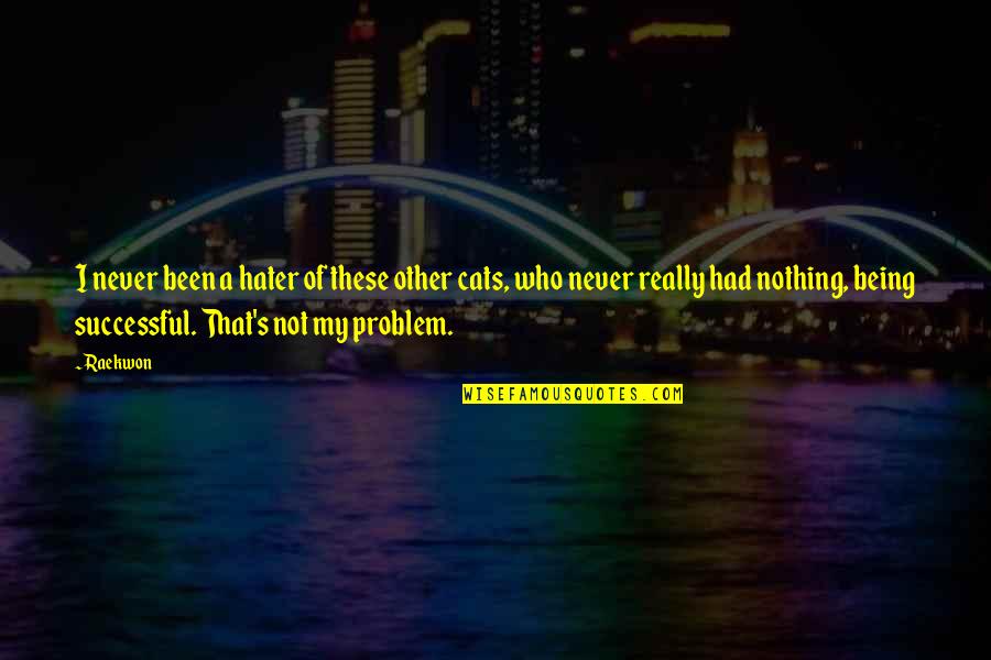 Puranik Builder Quotes By Raekwon: I never been a hater of these other Puranik Builder Quotes By Raekwon: I never been a hater of these other