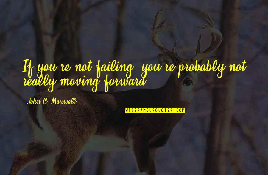 Purdue Owl Block Quotes By John C. Maxwell: If you're not failing, you're probably not really