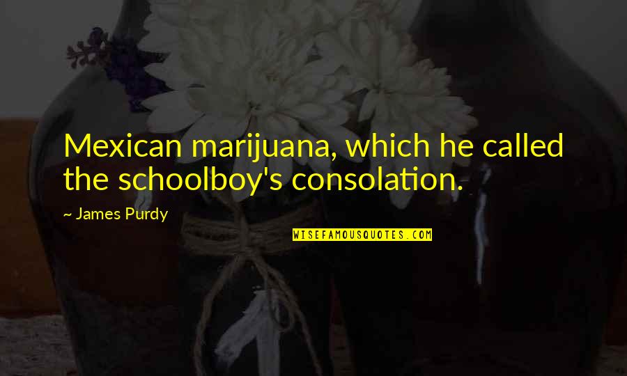 Purdy Quotes By James Purdy: Mexican marijuana, which he called the schoolboy's consolation.