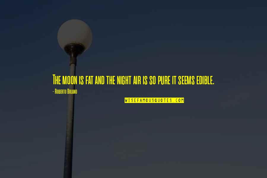Pure Air Quotes By Roberto Bolano: The moon is fat and the night air Pure Air Quotes By Roberto Bolano: The moon is fat and the night air