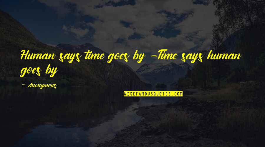Pure Awesomeness Quotes By Anonymous: Human says time goes by -Time says human
