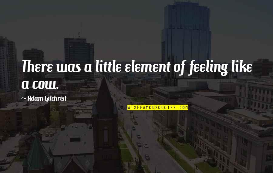 Pure Birth And Death Quotes By Adam Gilchrist: There was a little element of feeling like