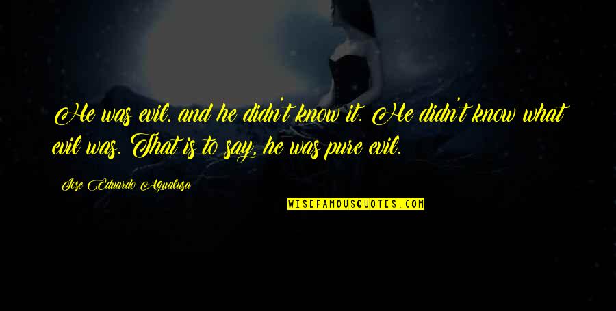 Pure Evil Quotes By Jose Eduardo Agualusa: He was evil, and he didn't know it. Pure Evil Quotes By Jose Eduardo Agualusa: He was evil, and he didn't know it.
