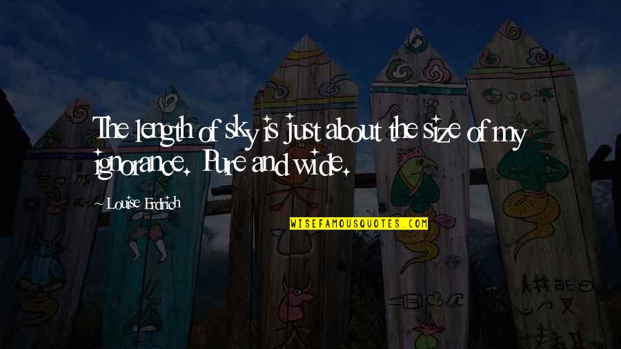 Pure Ignorance Quotes By Louise Erdrich: The length of sky is just about the
