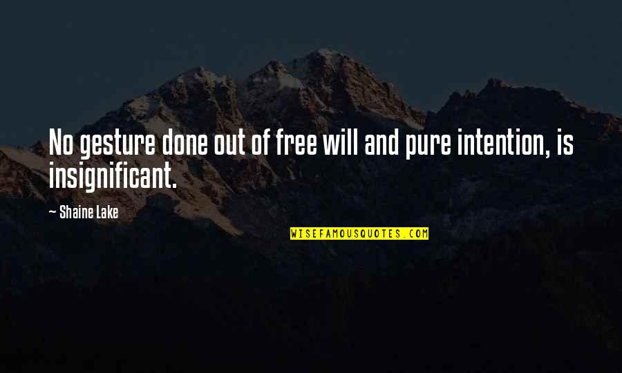 Pure Intention Quotes By Shaine Lake: No gesture done out of free will and