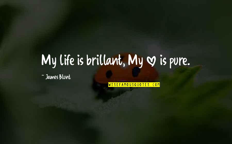 Pure Life Quotes By James Blunt: My life is brillant, My love is pure.