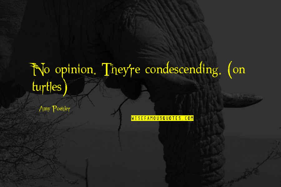 Pure Smile Quotes By Amy Poehler: No opinion. They're condescending. (on turtles)