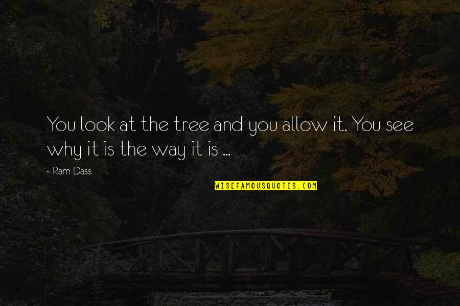 Pure7 Products Quotes By Ram Dass: You look at the tree and you allow