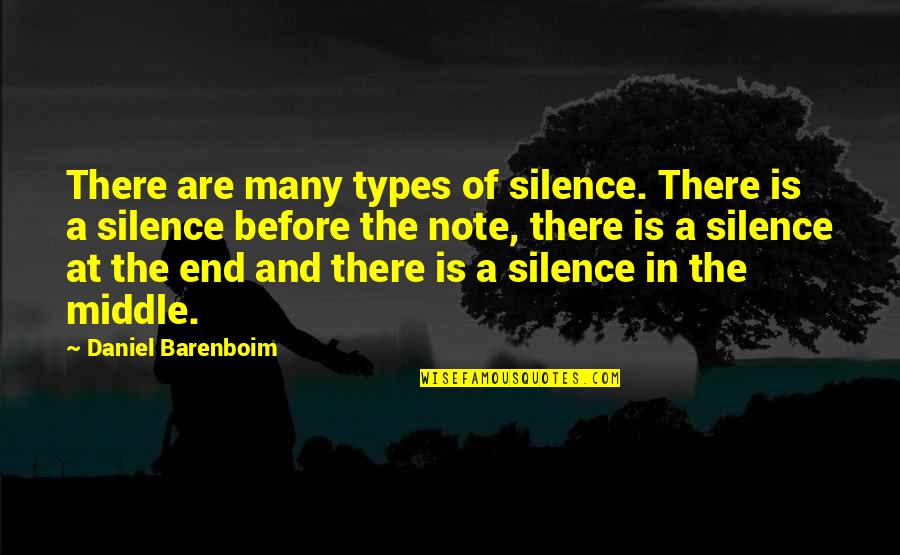 Purebloods At Hogwarts Quotes By Daniel Barenboim: There are many types of silence. There is Purebloods At Hogwarts Quotes By Daniel Barenboim: There are many types of silence. There is