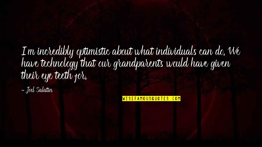 Purgatorial Quotes By Joel Salatin: I'm incredibly optimistic about what individuals can do.