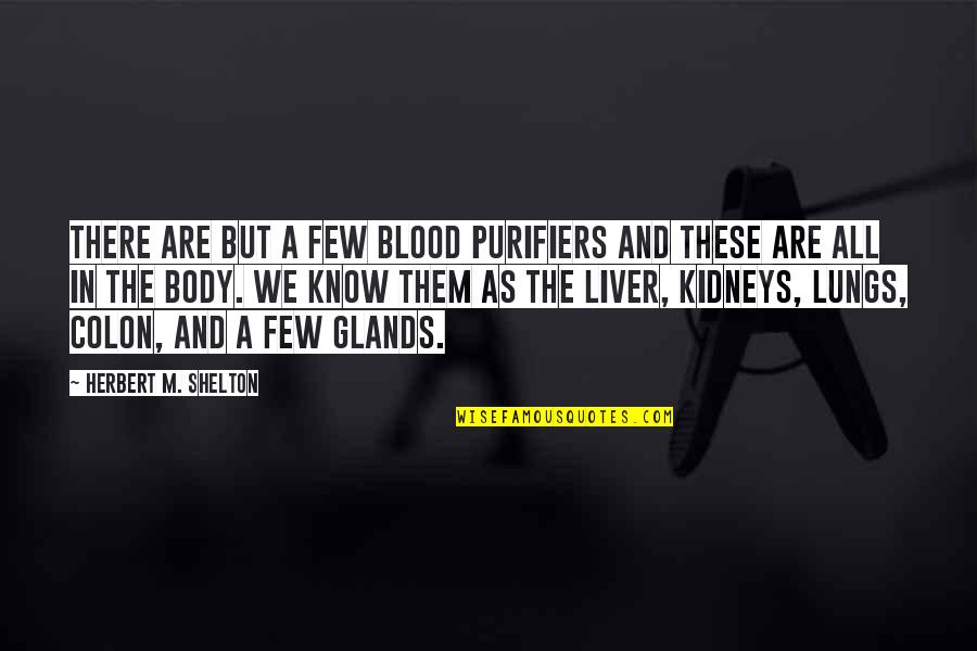 Purifiers Quotes By Herbert M. Shelton: There are but a few blood purifiers and Purifiers Quotes By Herbert M. Shelton: There are but a few blood purifiers and