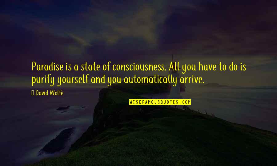 Purify Quotes By David Wolfe: Paradise is a state of consciousness. All you