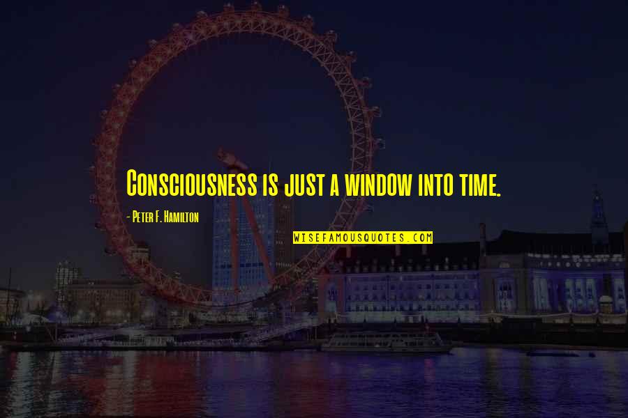 Puristika Quotes By Peter F. Hamilton: Consciousness is just a window into time.
